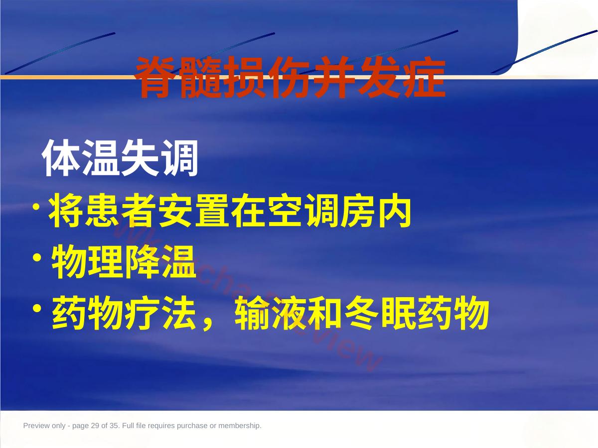 预览第 29 页