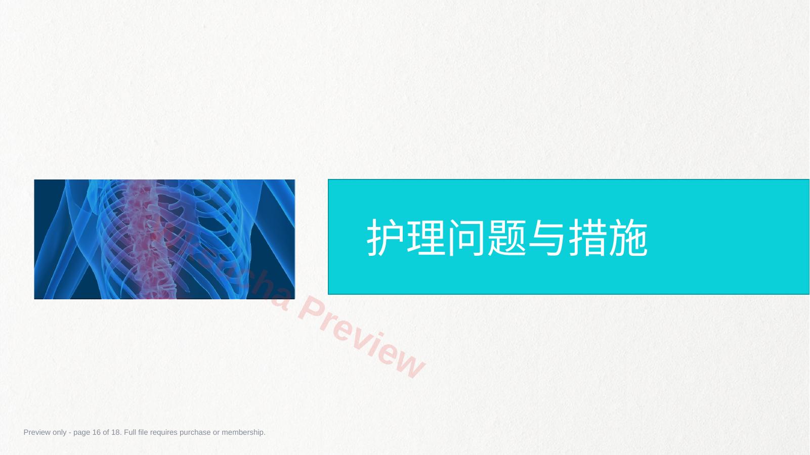 预览第 16 页