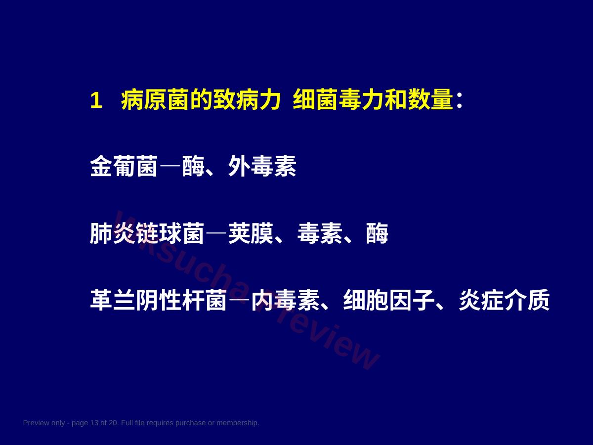 预览第 13 页