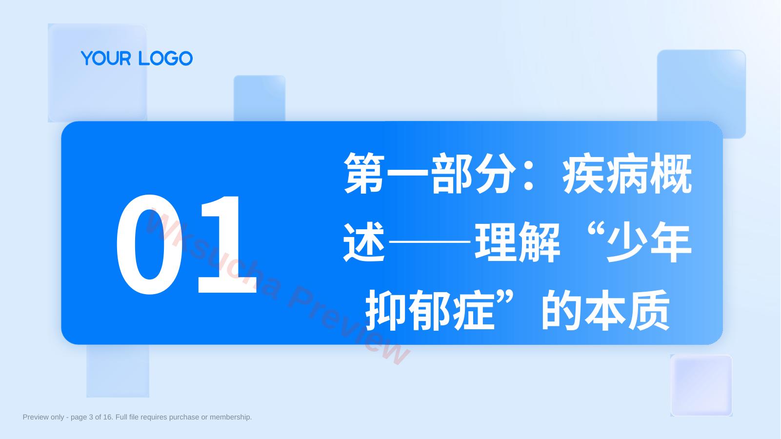 预览第 3 页