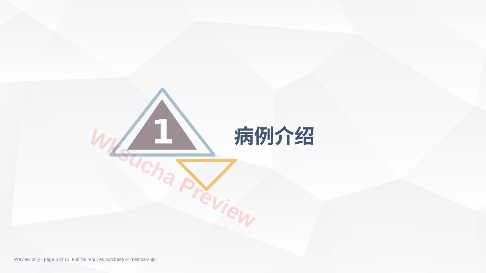 预览第 3 页