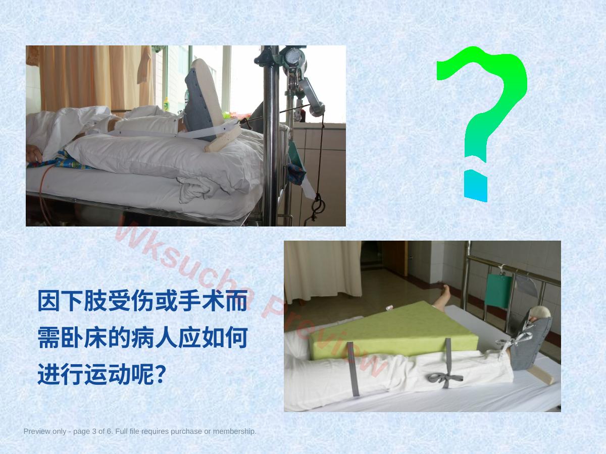 预览第 3 页