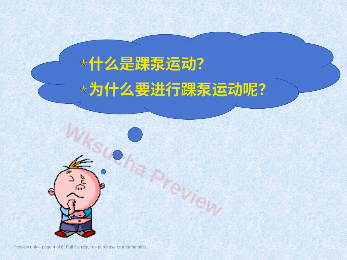 预览第 4 页