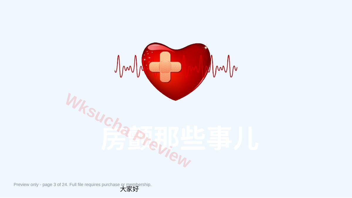 预览第 3 页