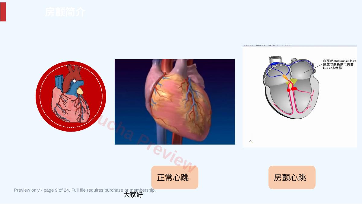 预览第 9 页