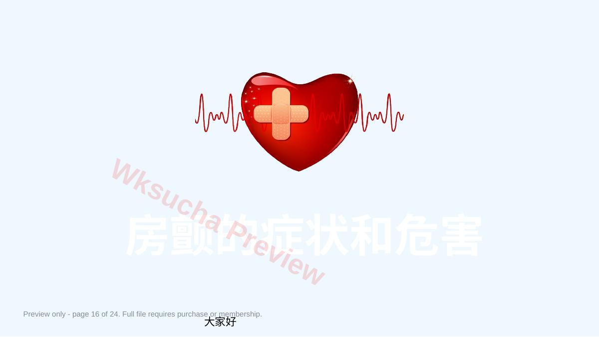 预览第 16 页