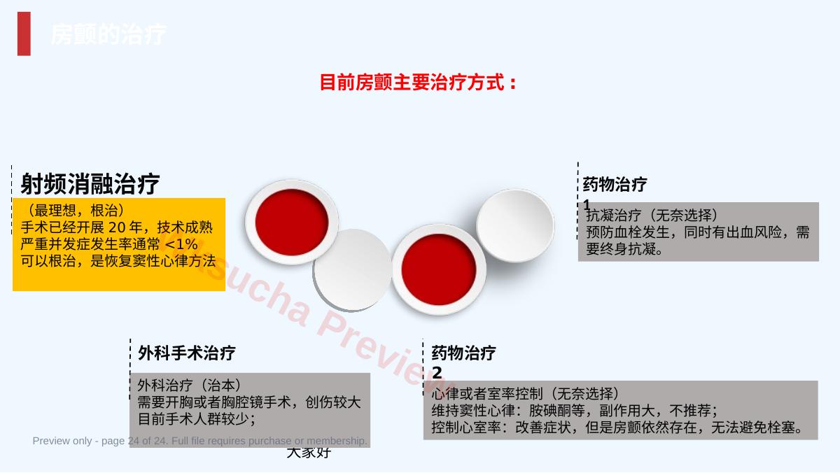 预览第 24 页