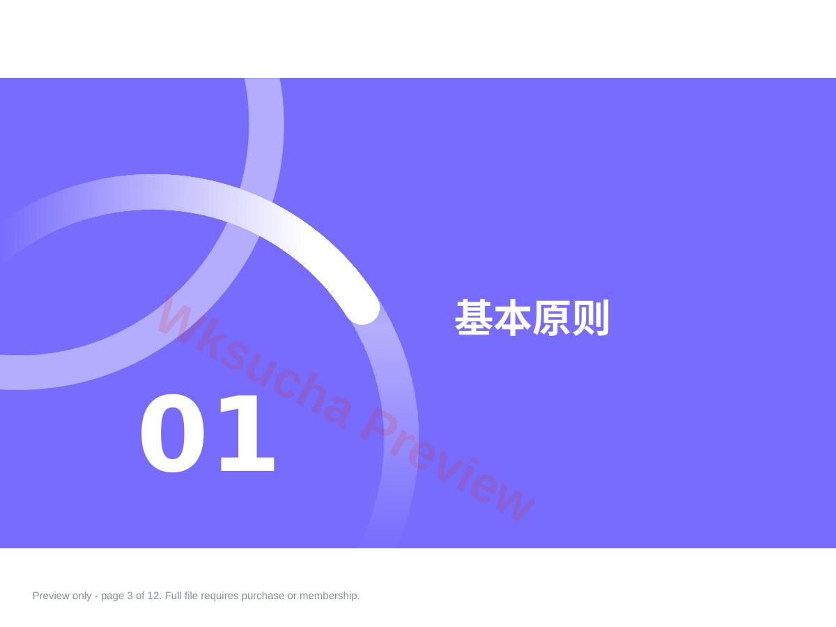 预览第 3 页