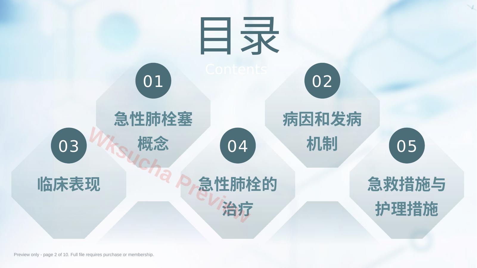 预览第 2 页