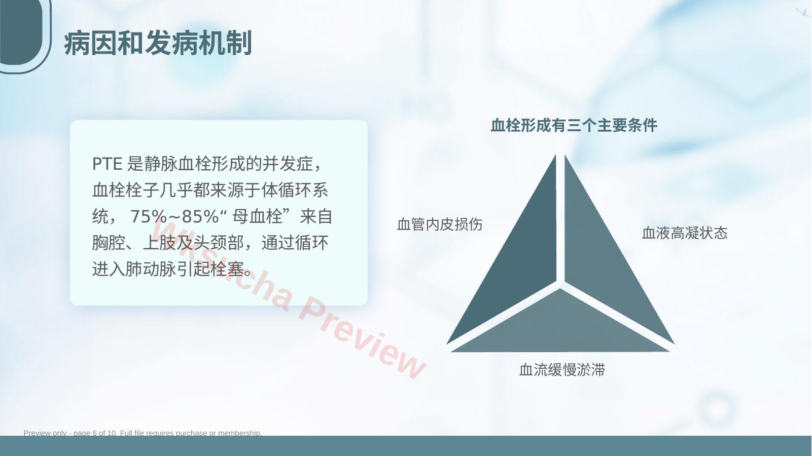 预览第 6 页