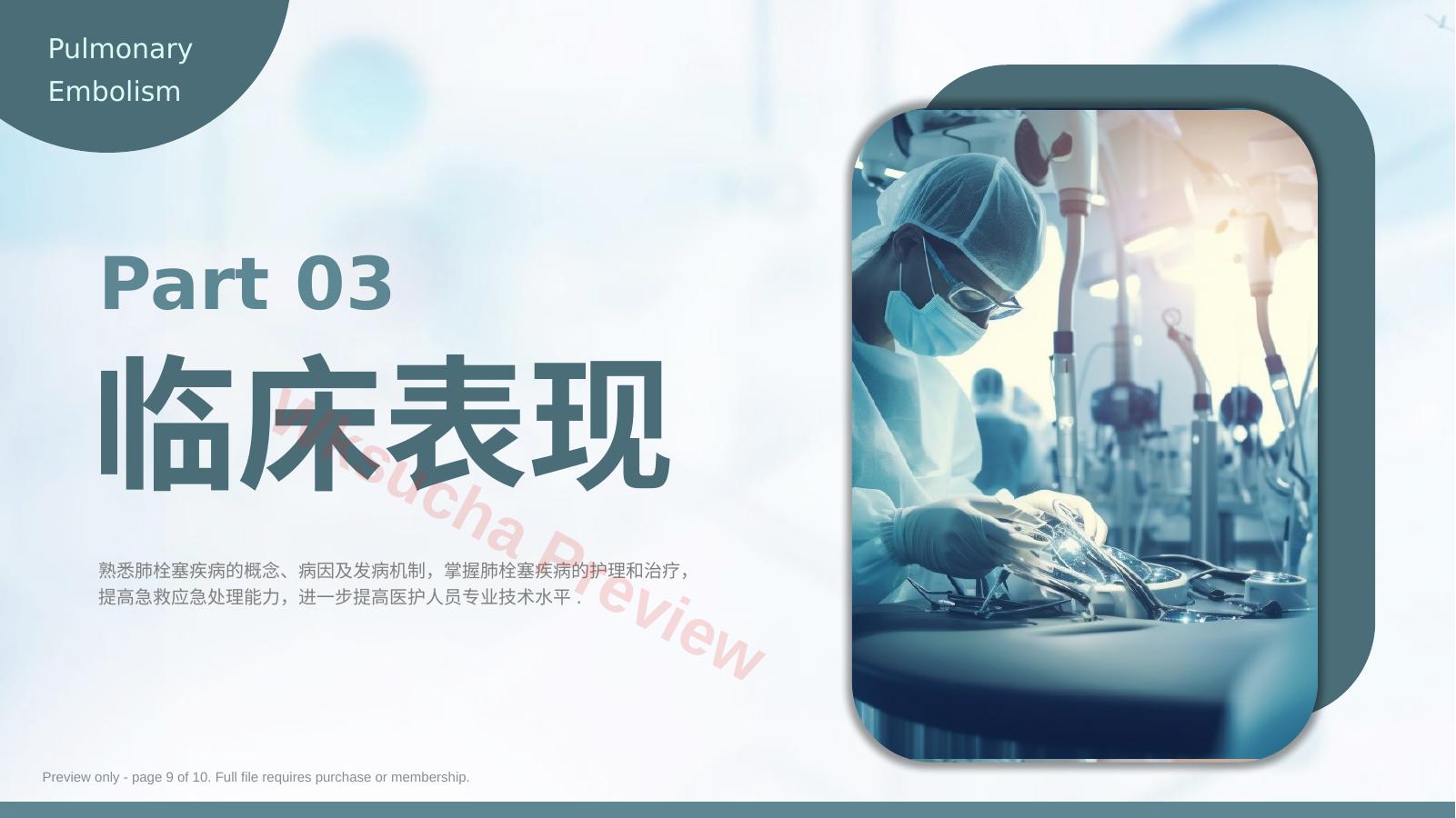 预览第 9 页