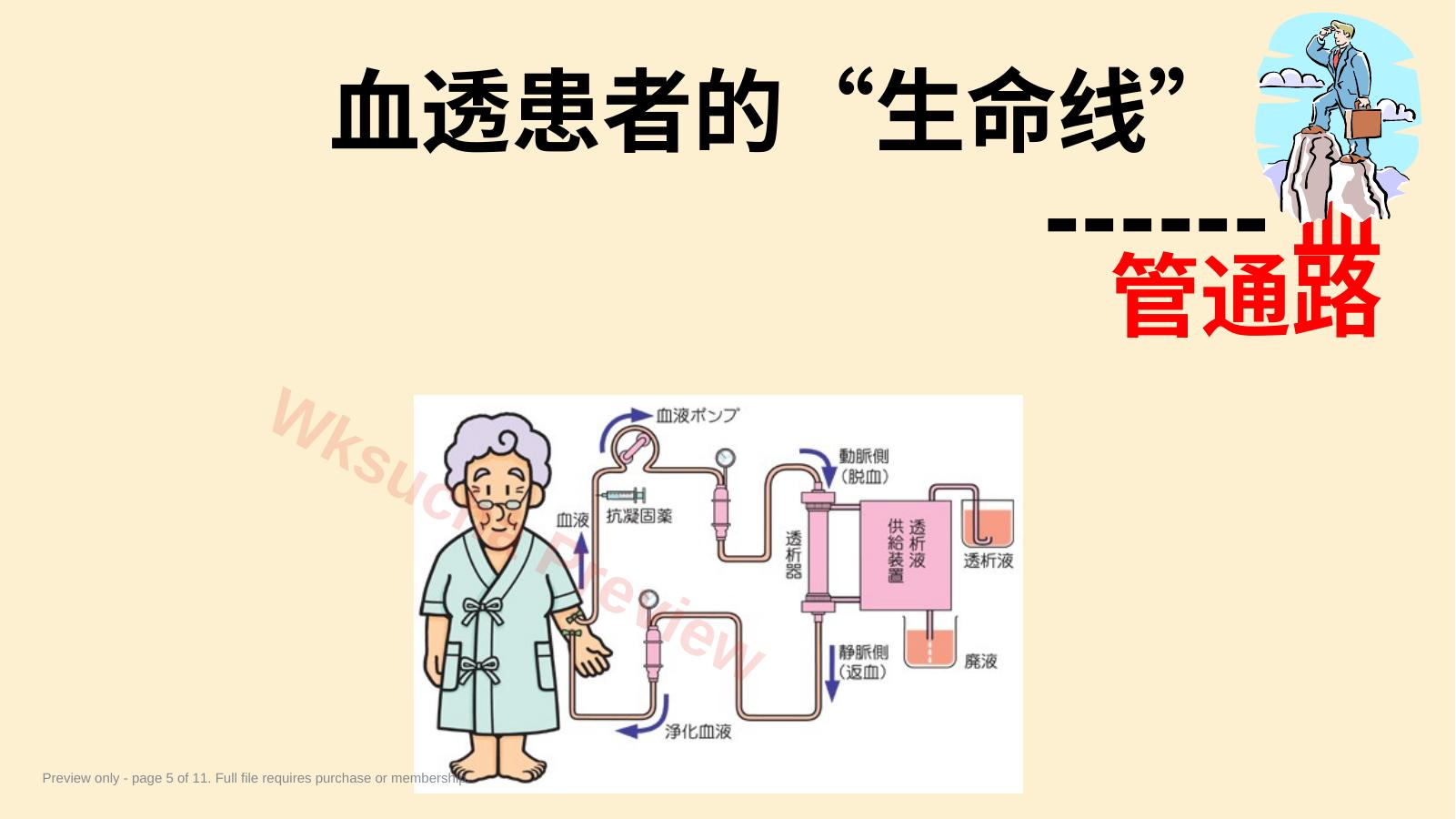 预览第 5 页