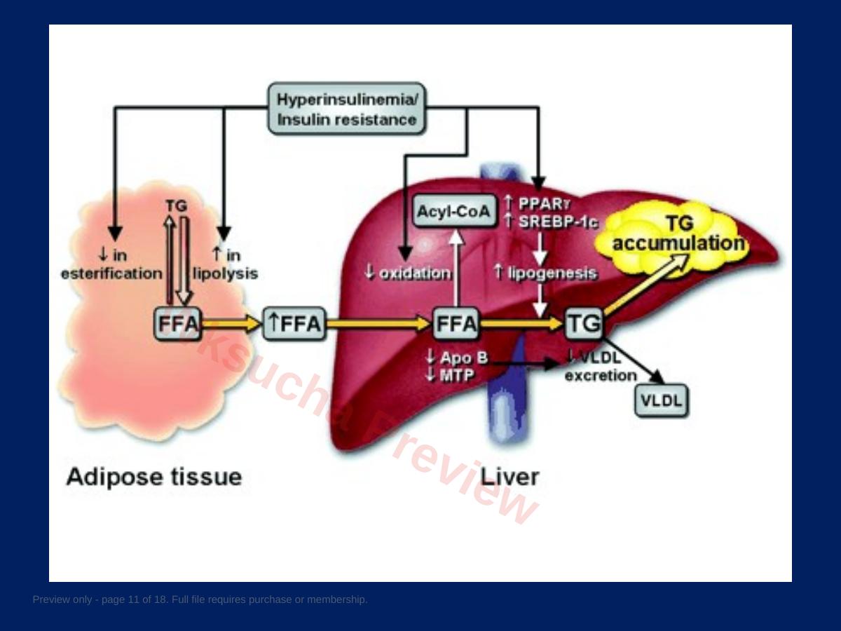 预览第 11 页