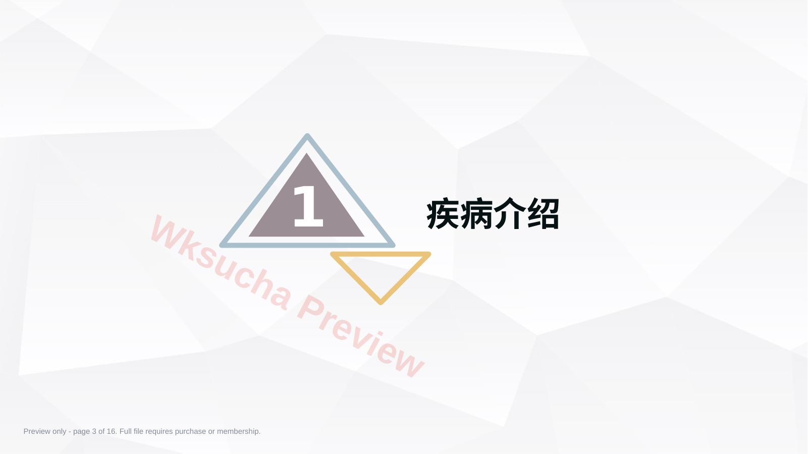 预览第 3 页