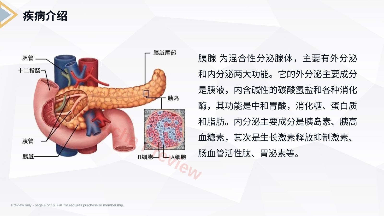 预览第 4 页