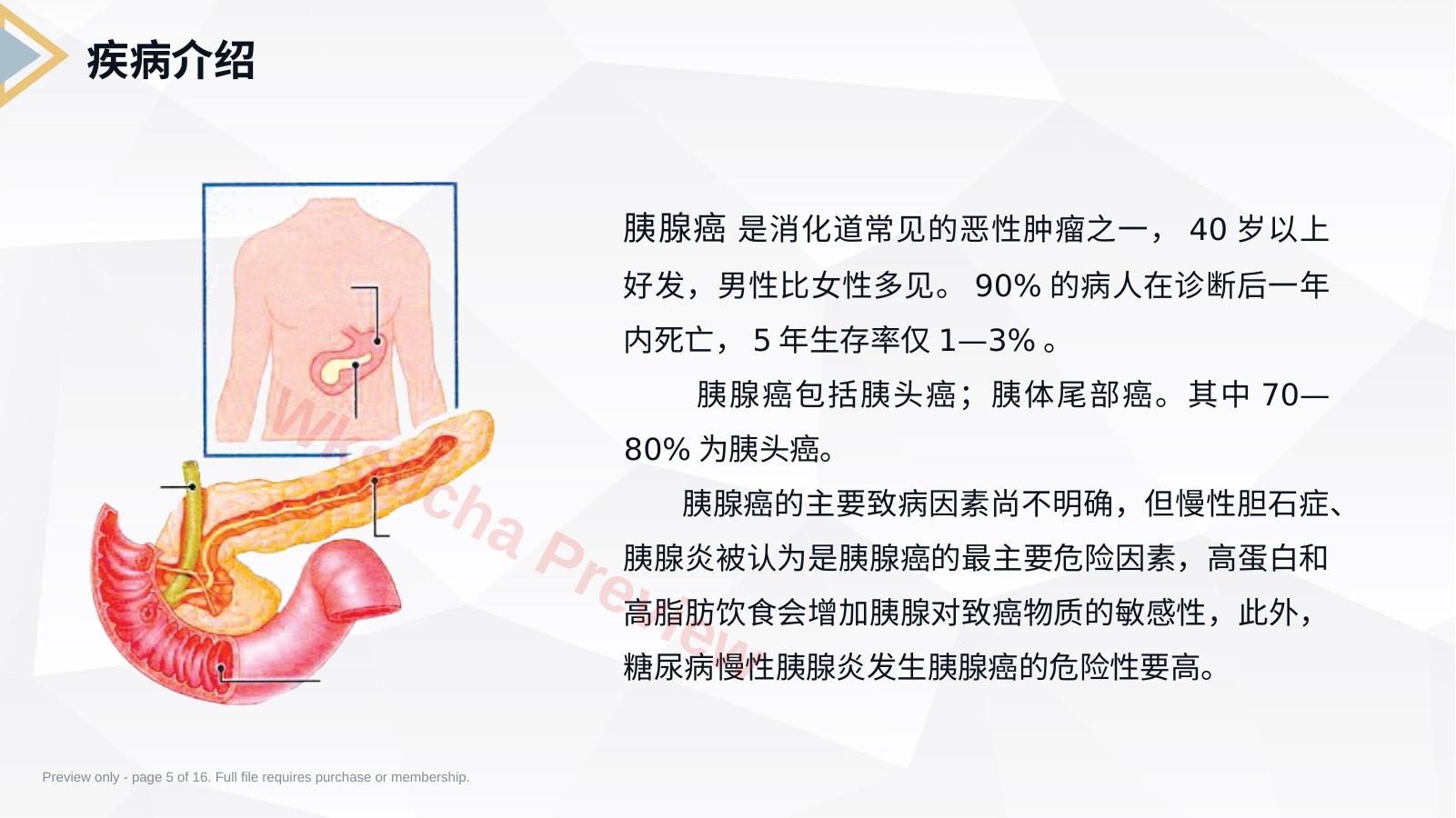 预览第 5 页