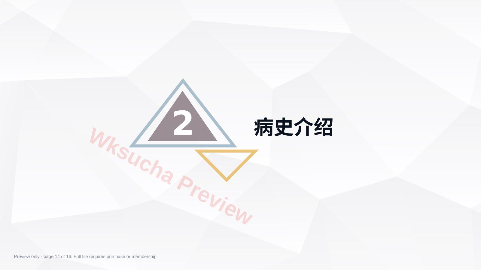 预览第 14 页