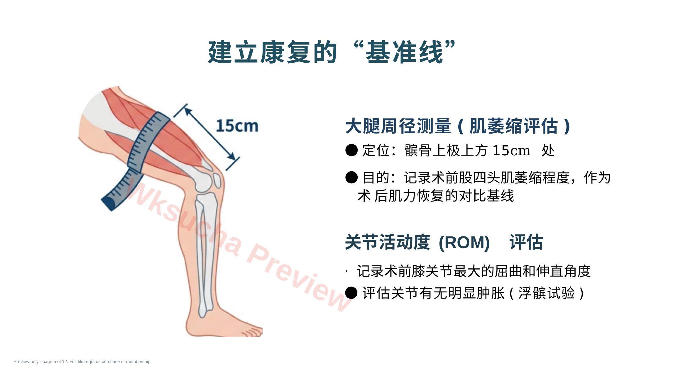 预览第 5 页