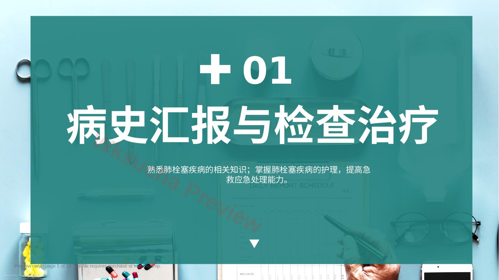 预览第 5 页