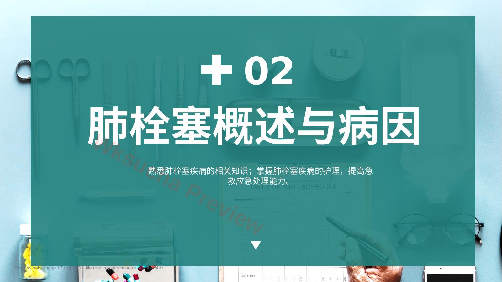预览第 12 页