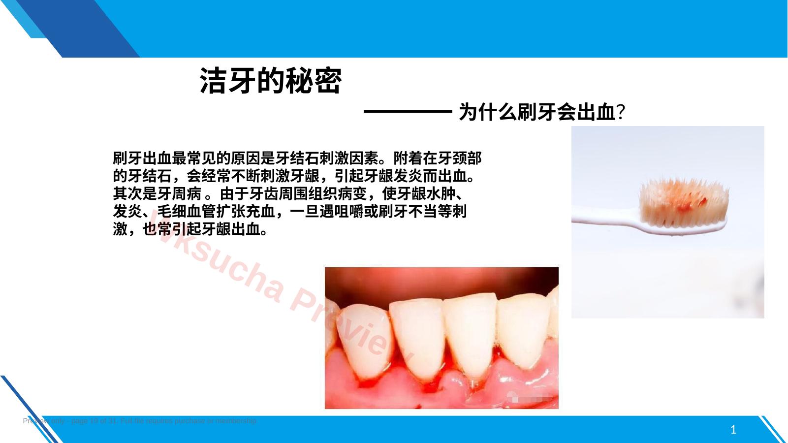 预览第 19 页
