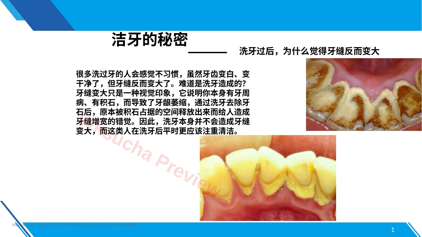 预览第 21 页