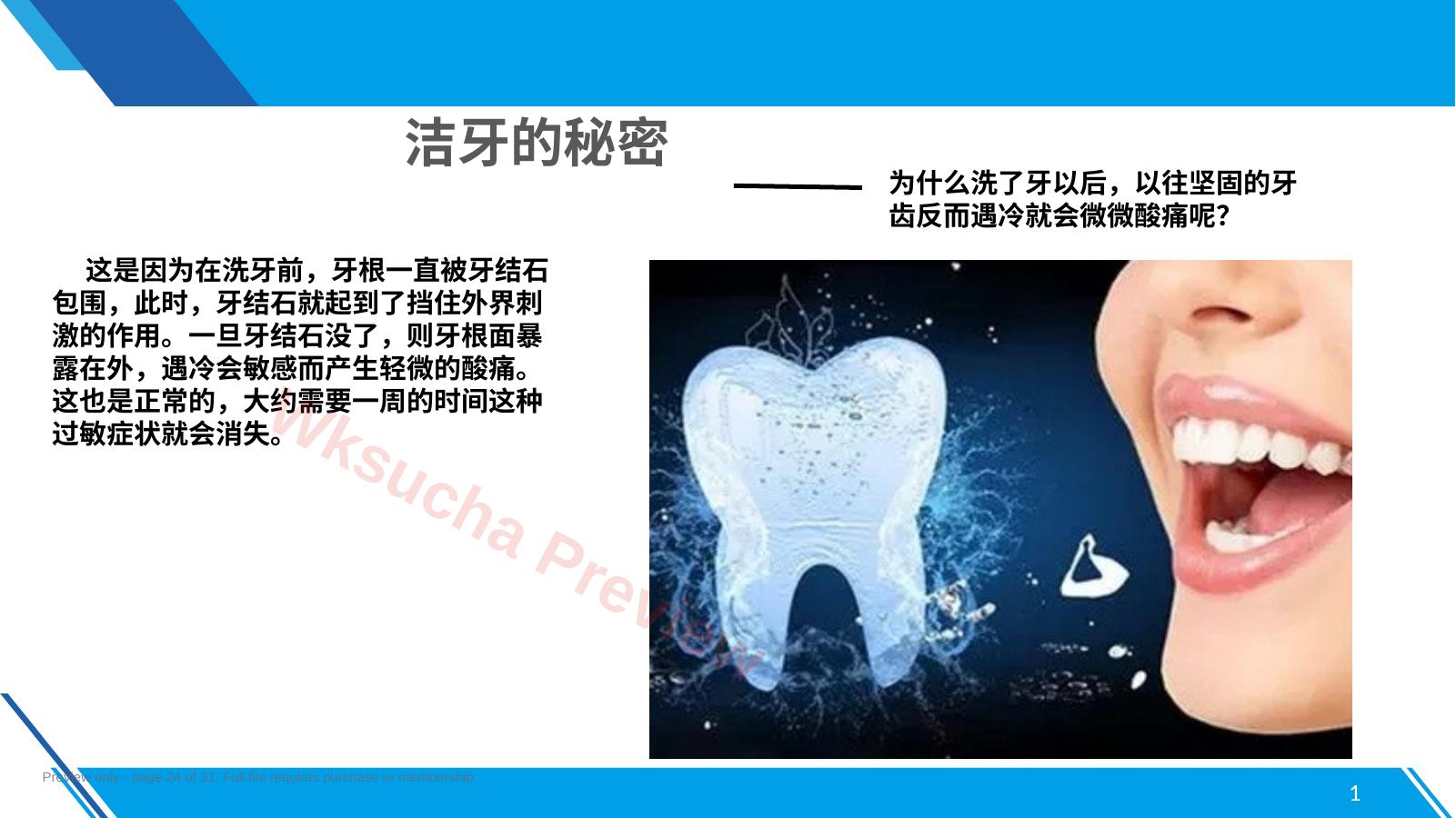 预览第 24 页