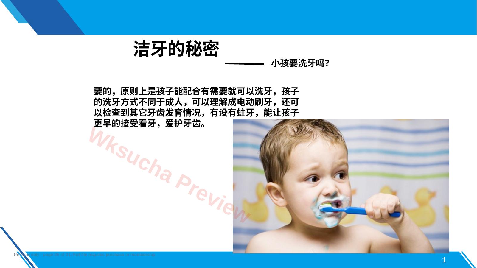 预览第 25 页