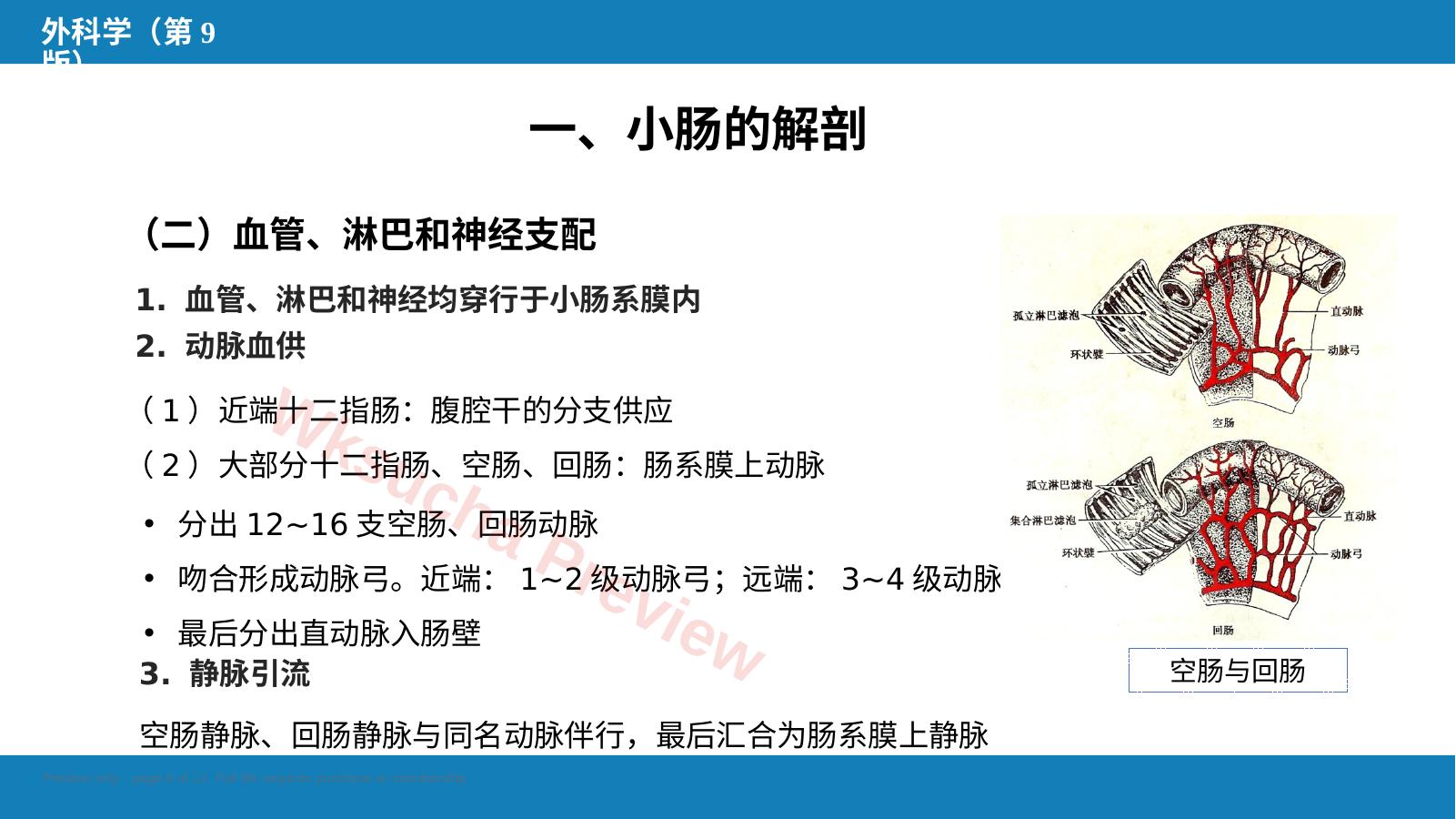 预览第 6 页