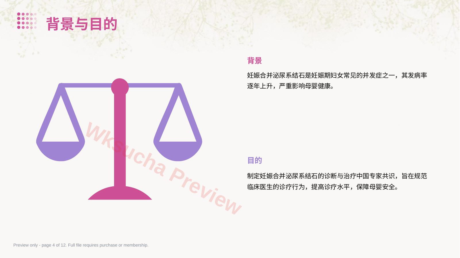 预览第 4 页