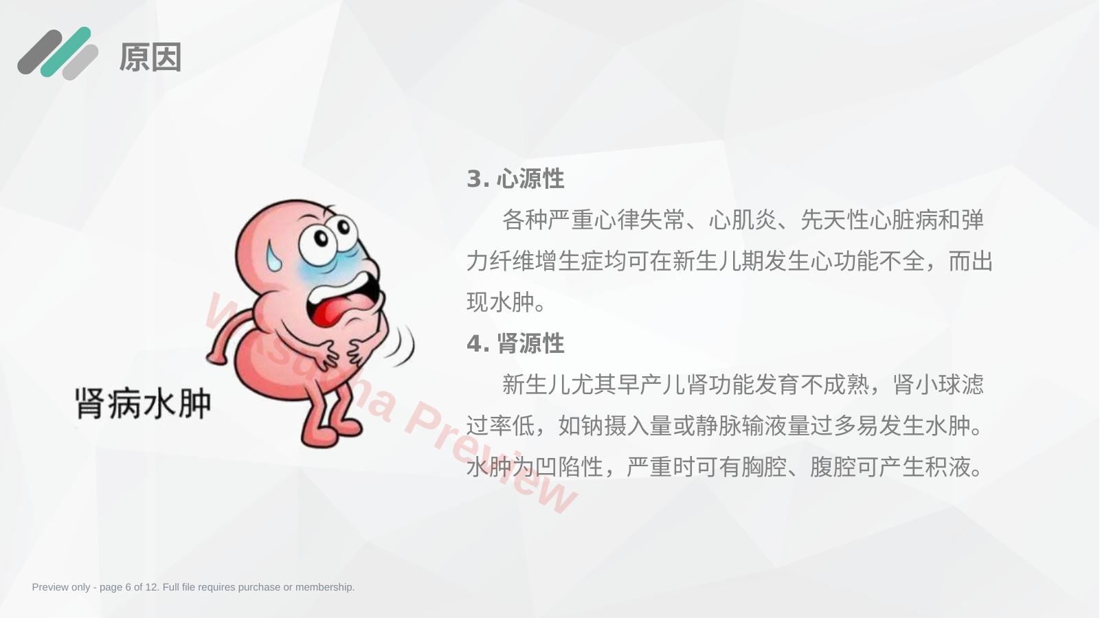 预览第 6 页