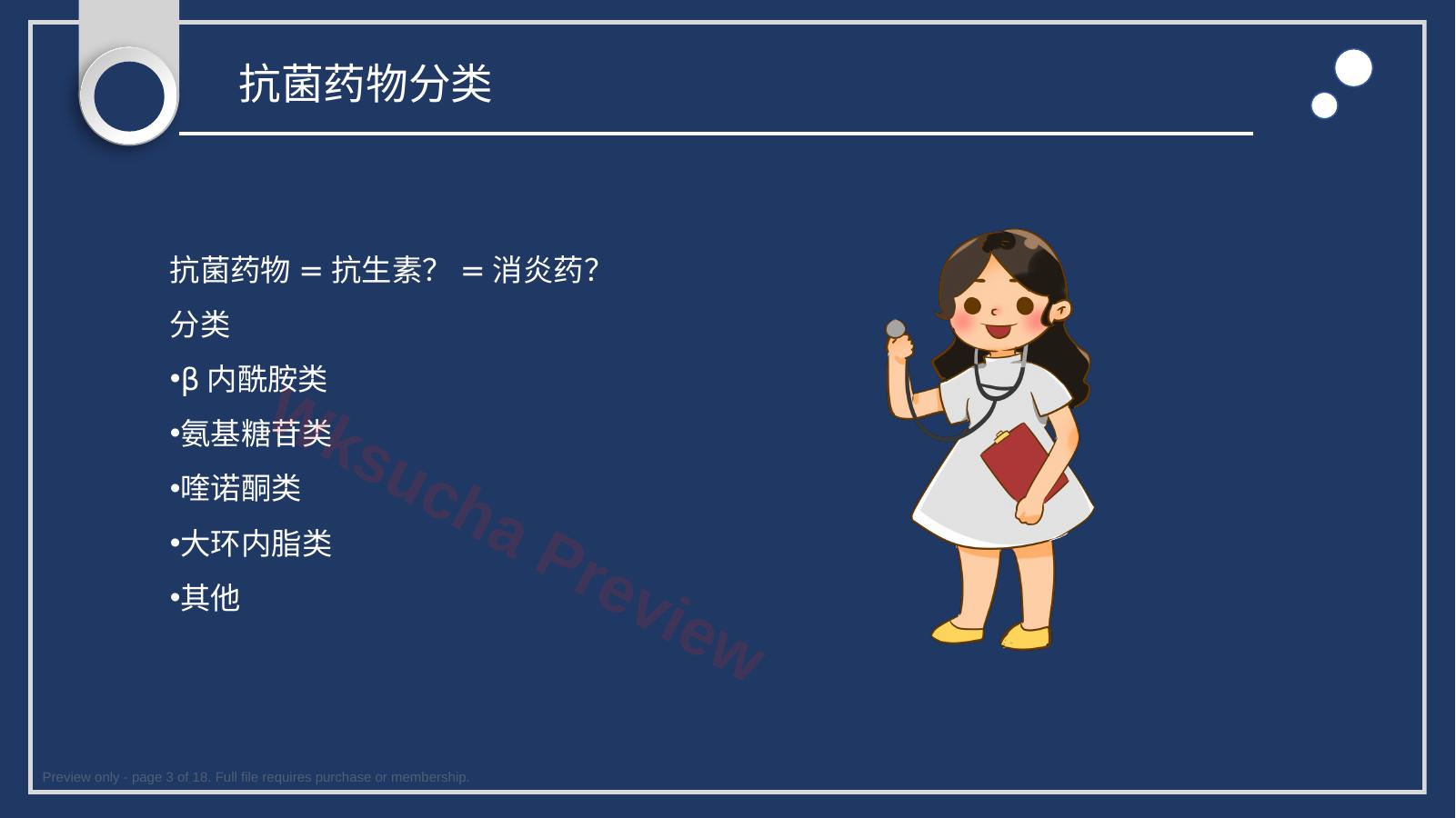 预览第 3 页