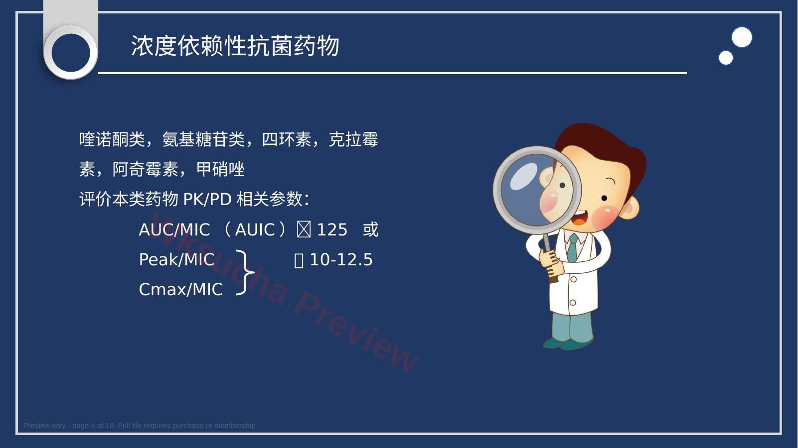 预览第 4 页
