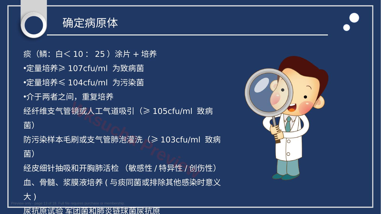 预览第 13 页