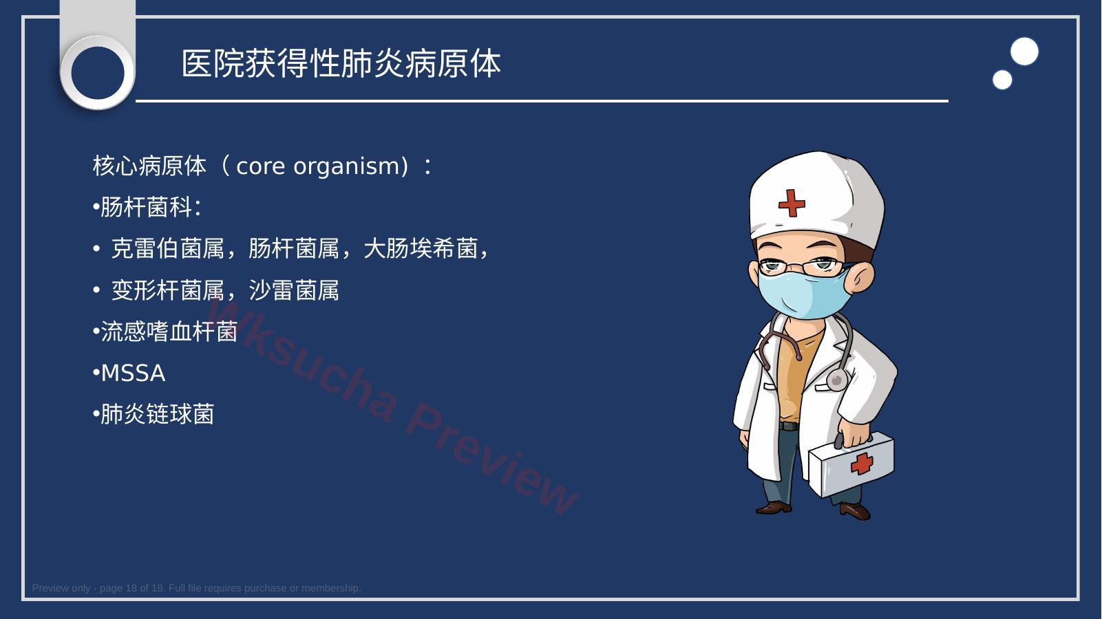 预览第 18 页