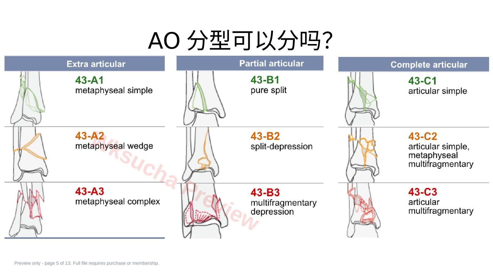 预览第 5 页