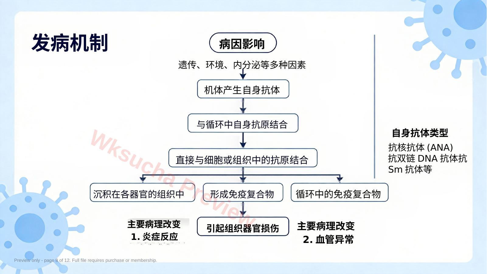 预览第 8 页