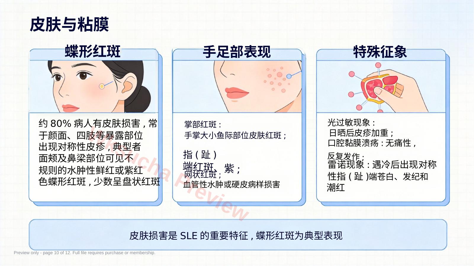 预览第 10 页