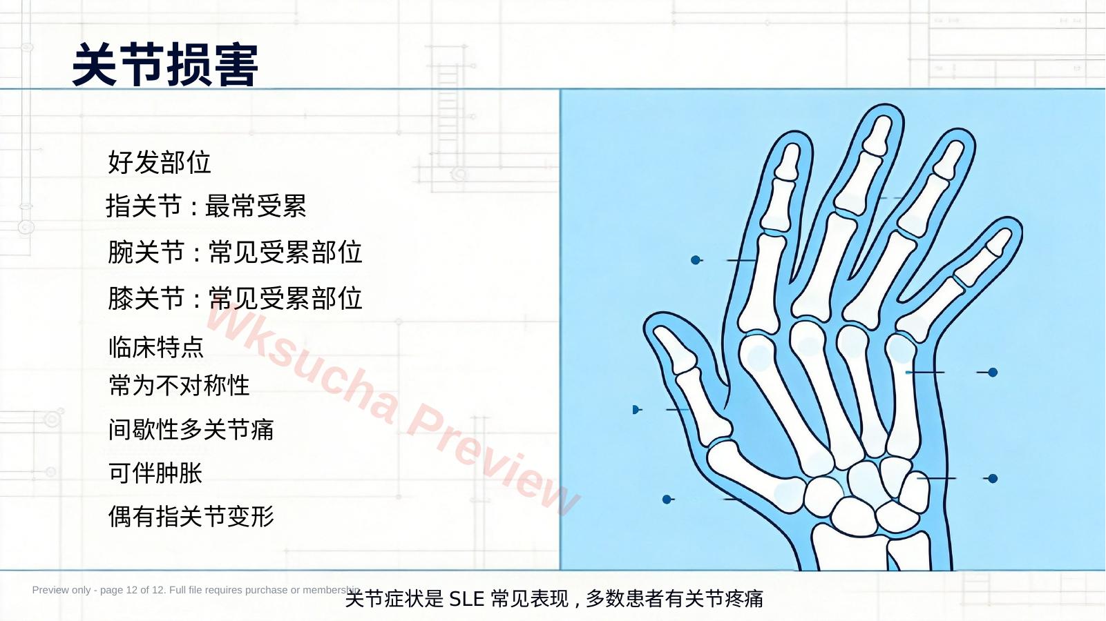 预览第 12 页