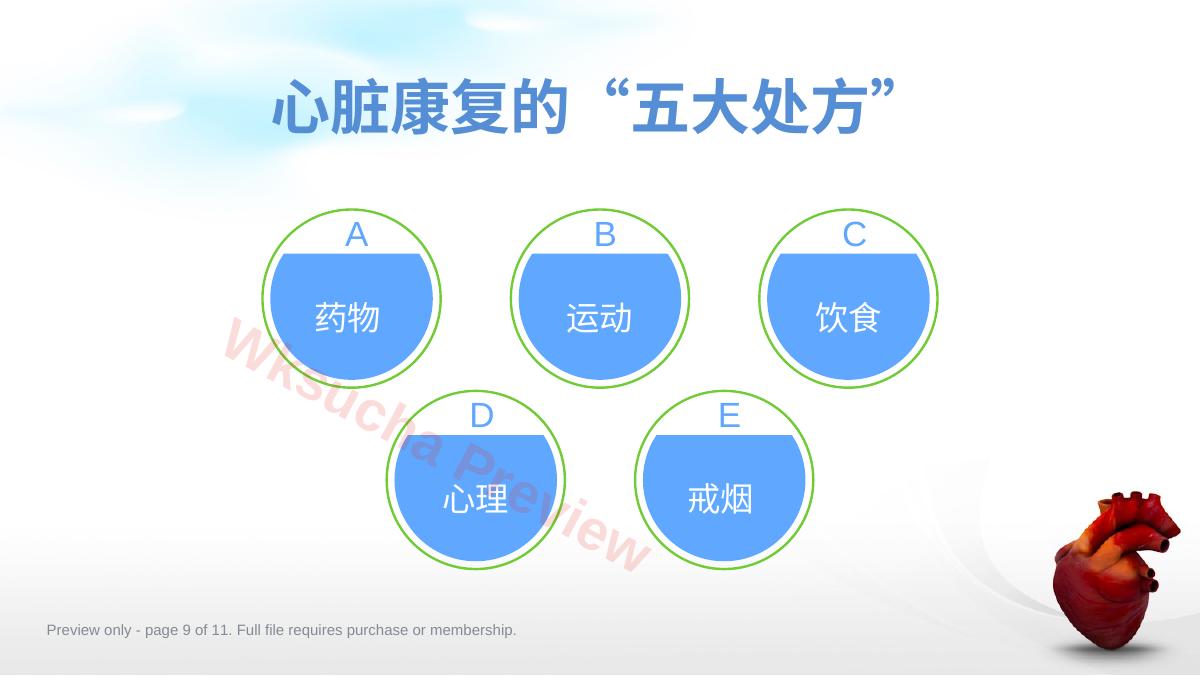 预览第 9 页
