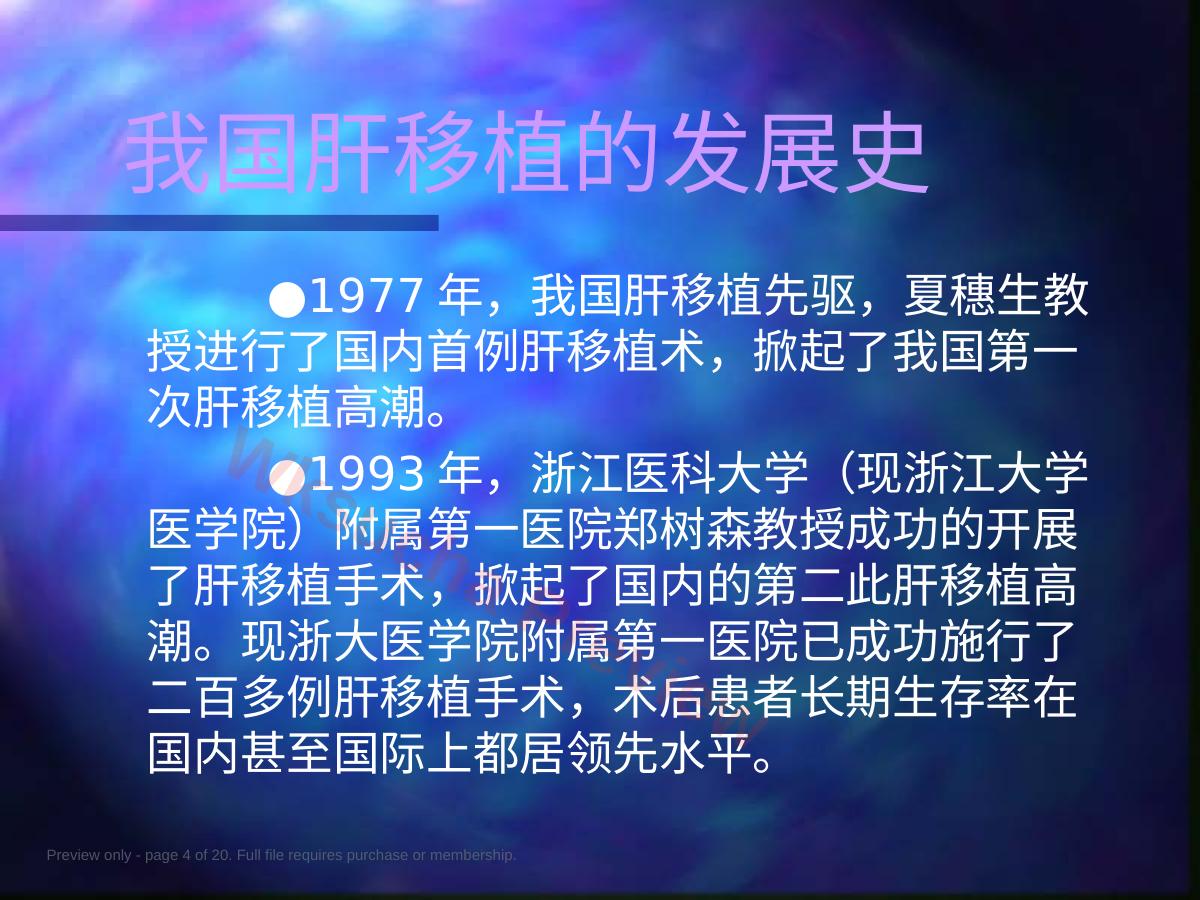 预览第 4 页