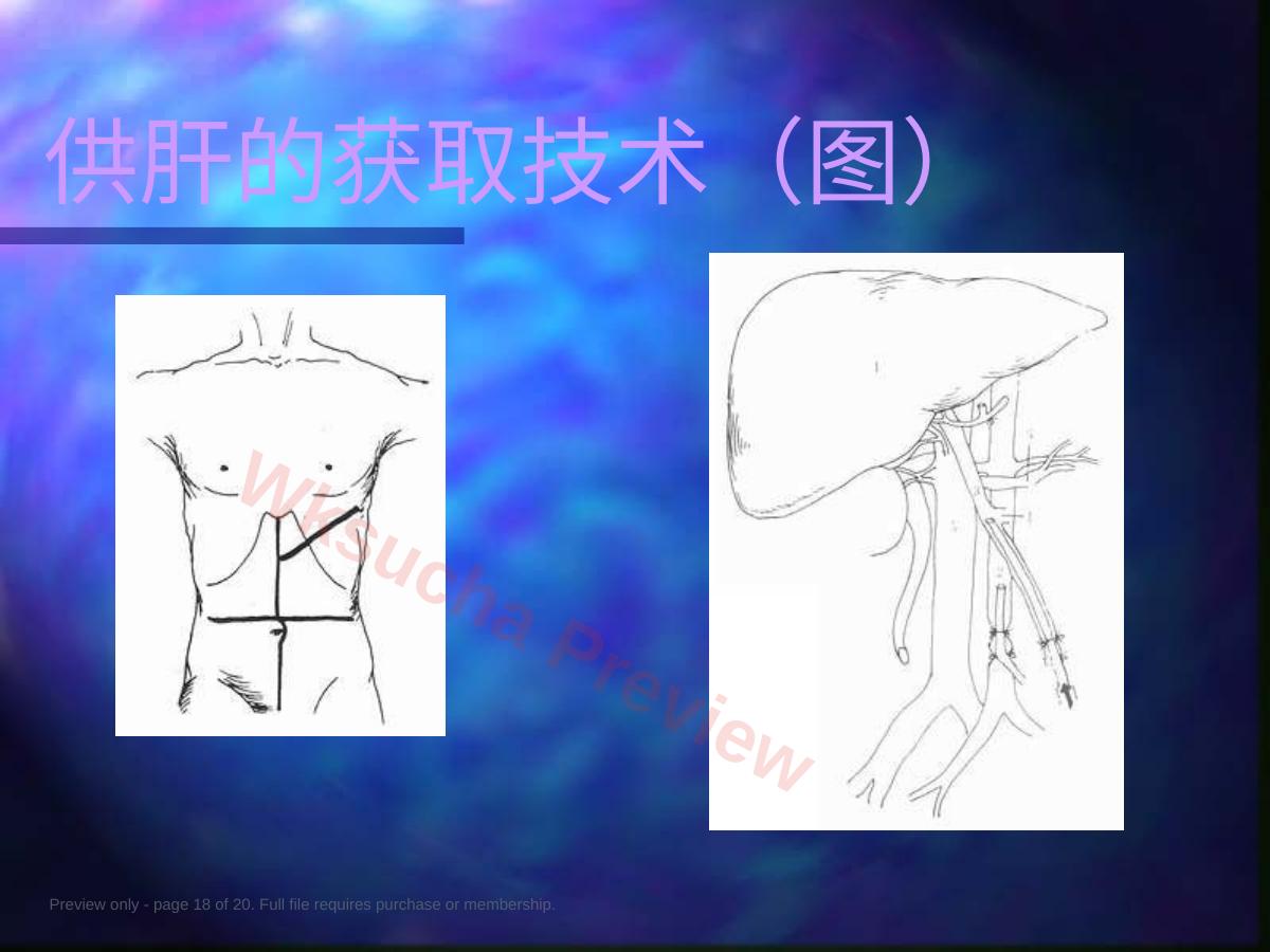 预览第 18 页
