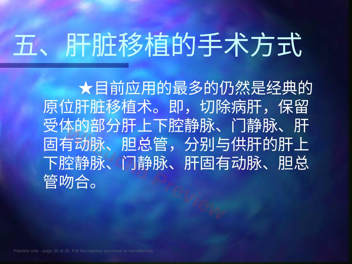 预览第 20 页