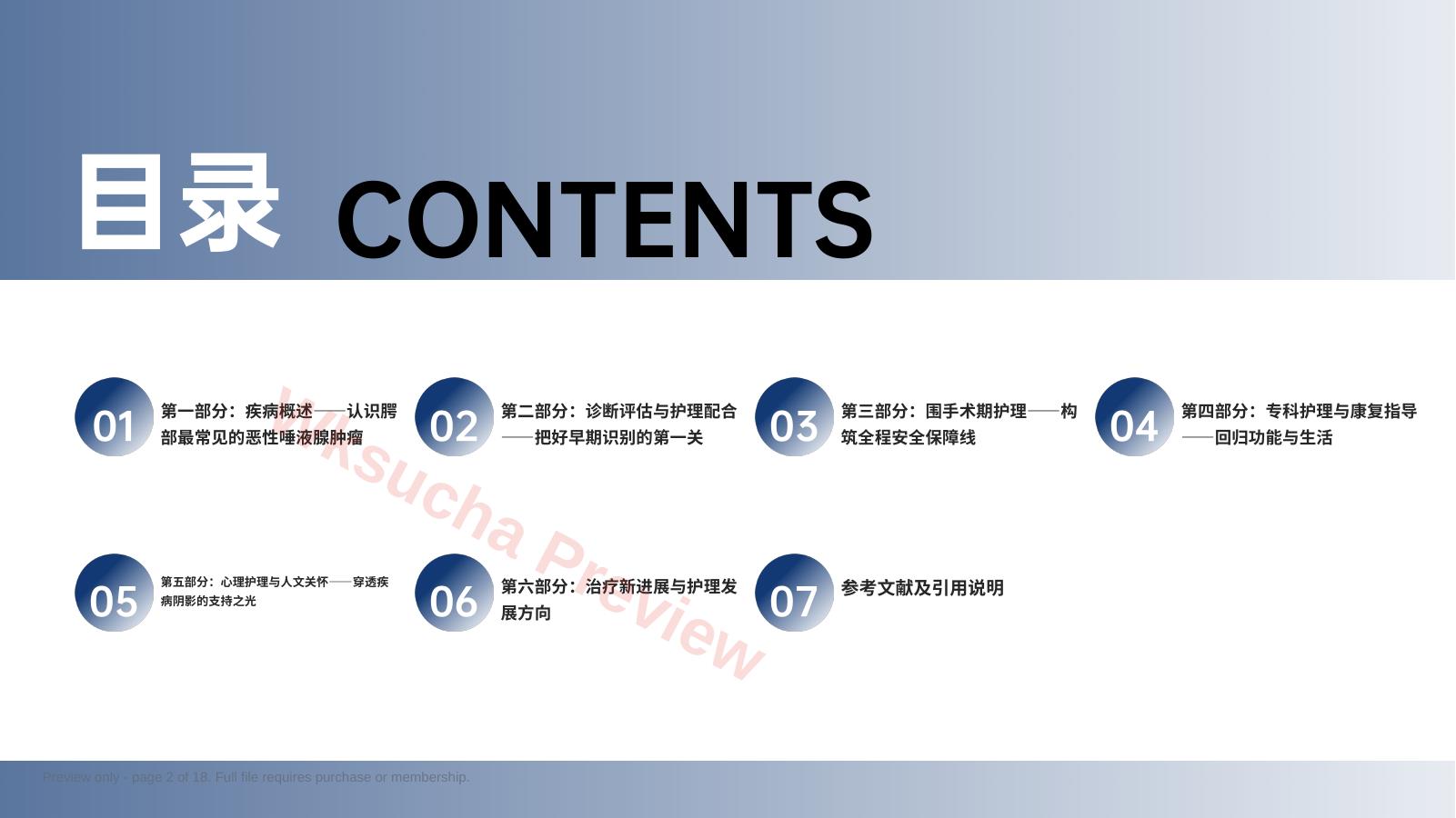 预览第 2 页