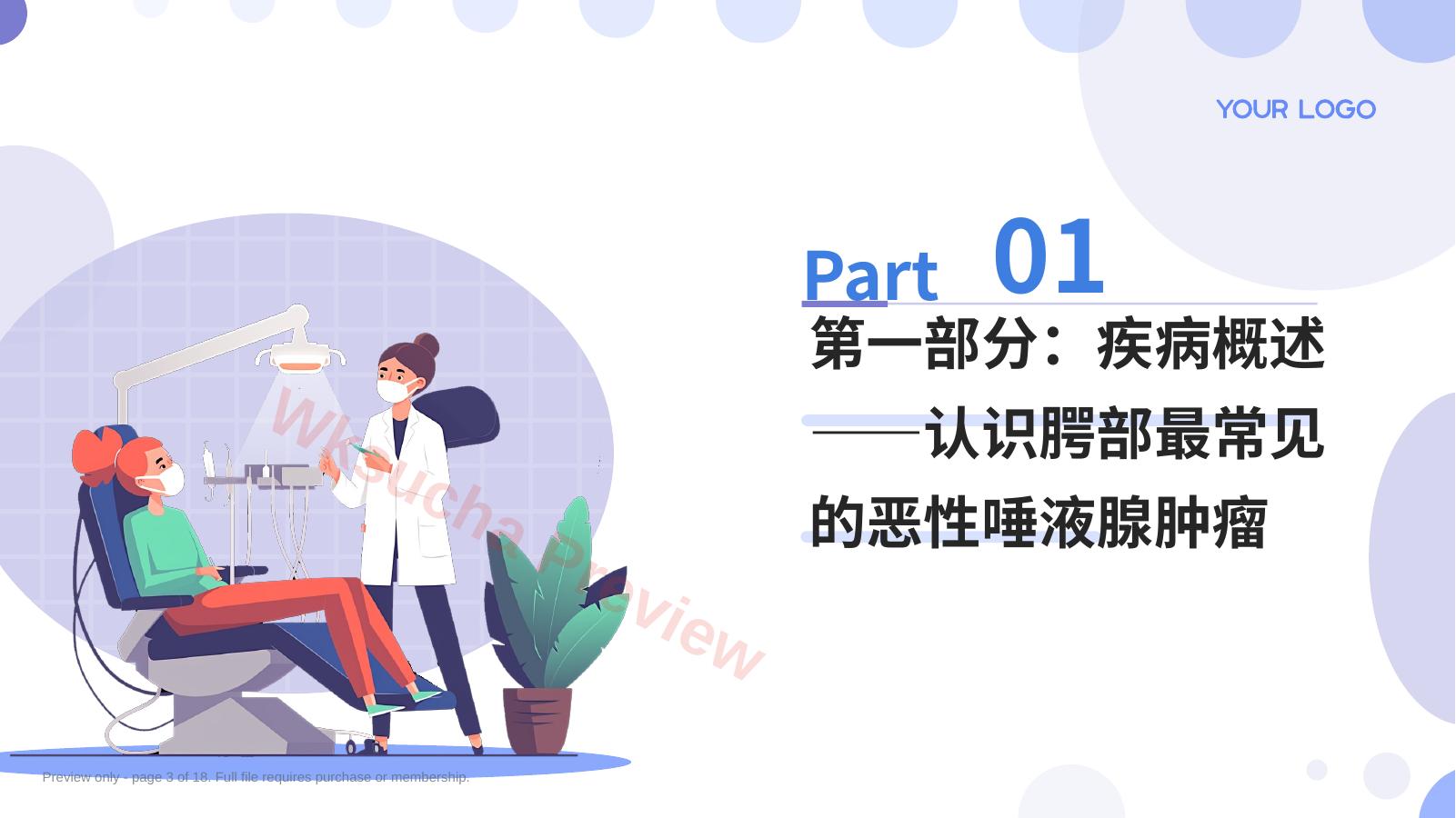 预览第 3 页