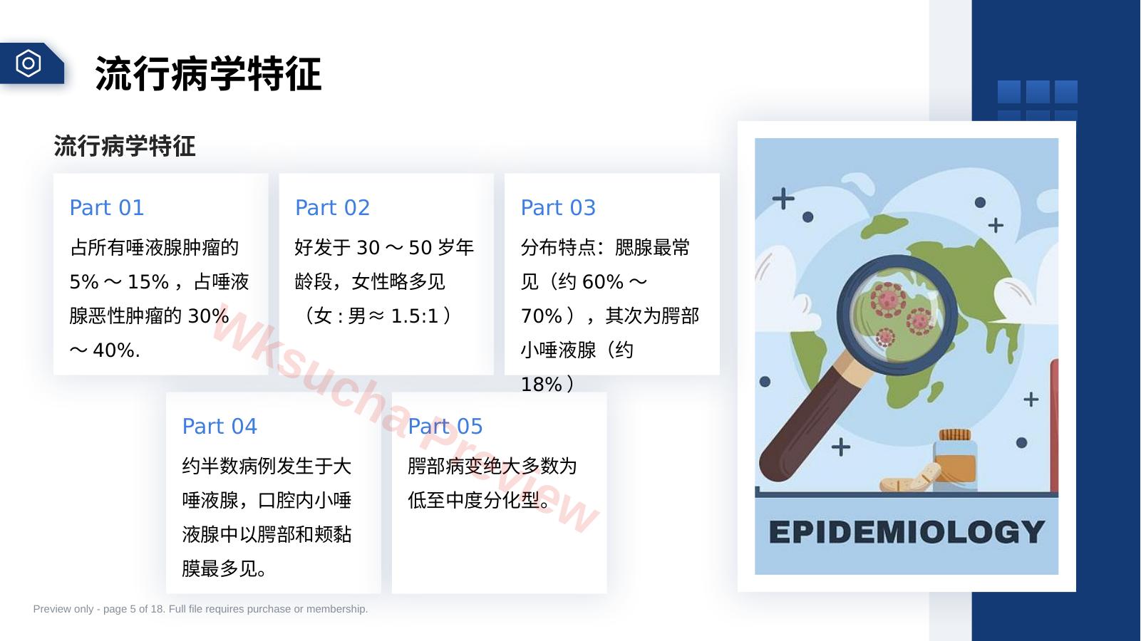 预览第 5 页