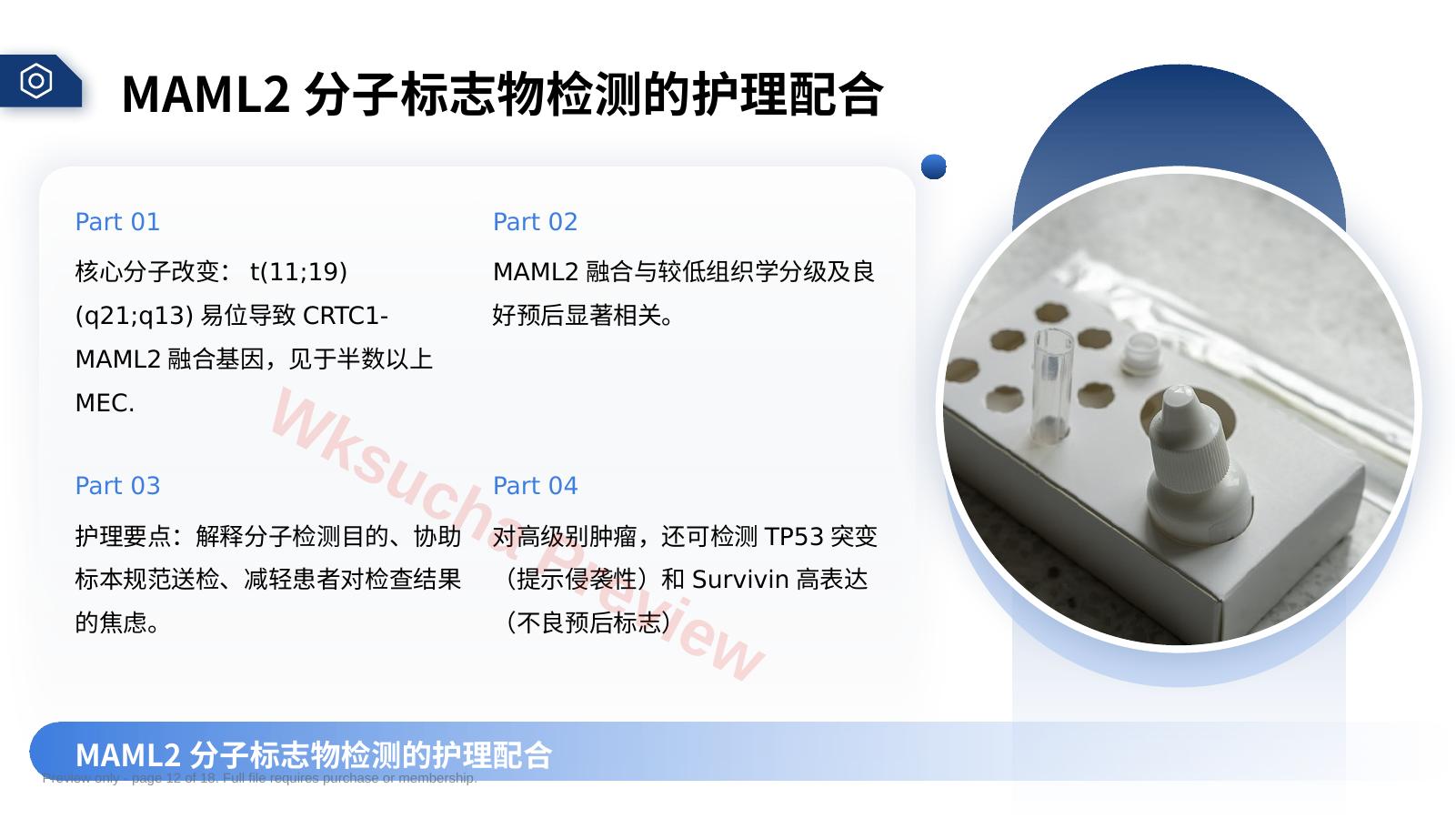 预览第 12 页