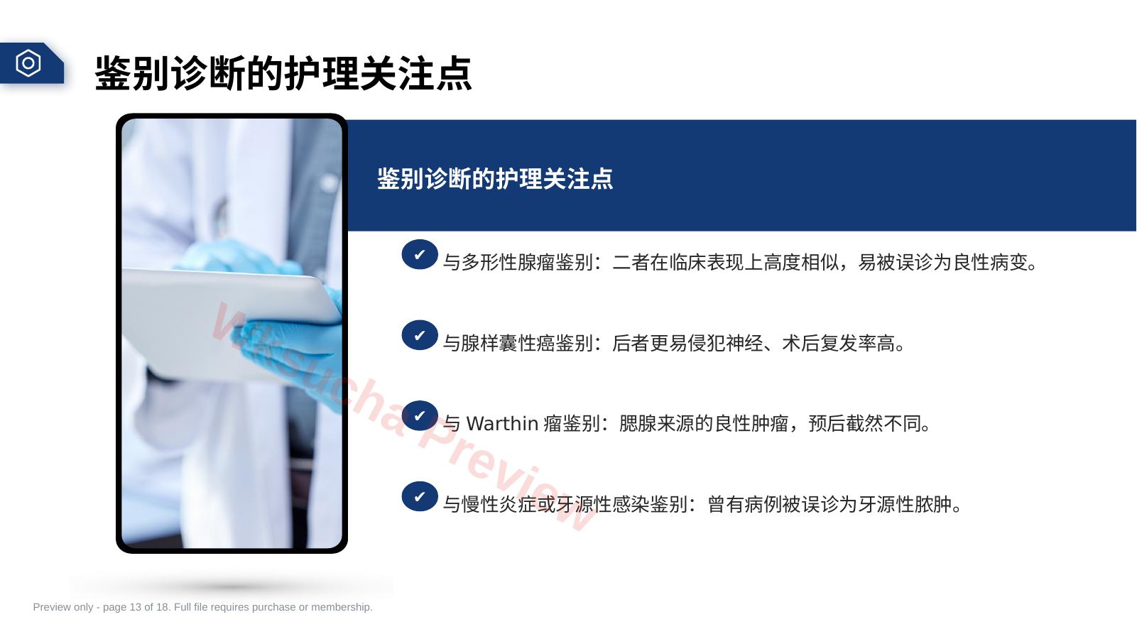 预览第 13 页