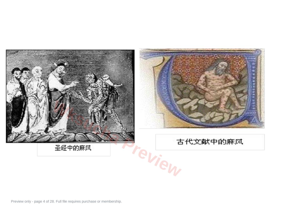 预览第 4 页
