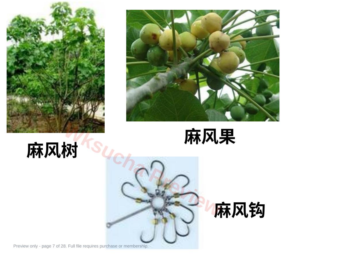 预览第 7 页